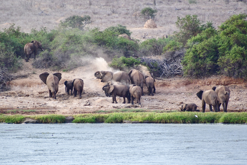 Tsavo East National Park